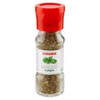 Angolato - Parte anteriore, superiore