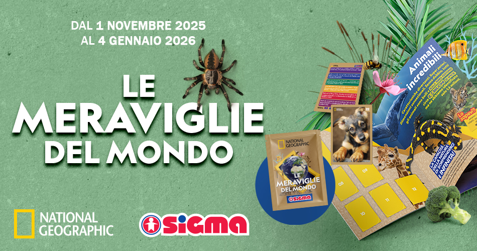 Scamp Special Banner Visual Campagna 950x500 1