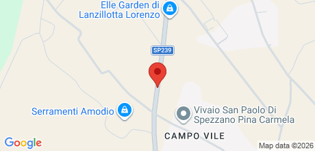 Mappa del punto vendita